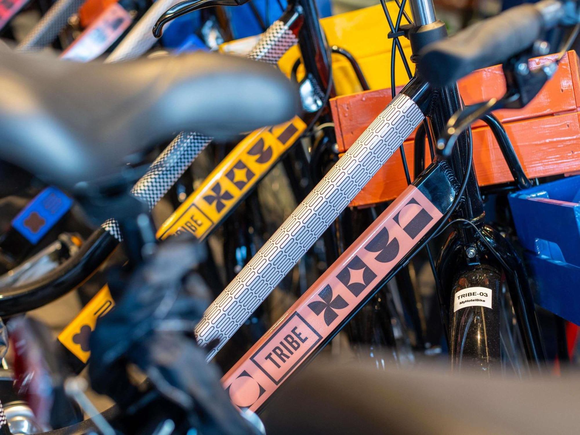 Tribe - Opened December 2025 Den Haag